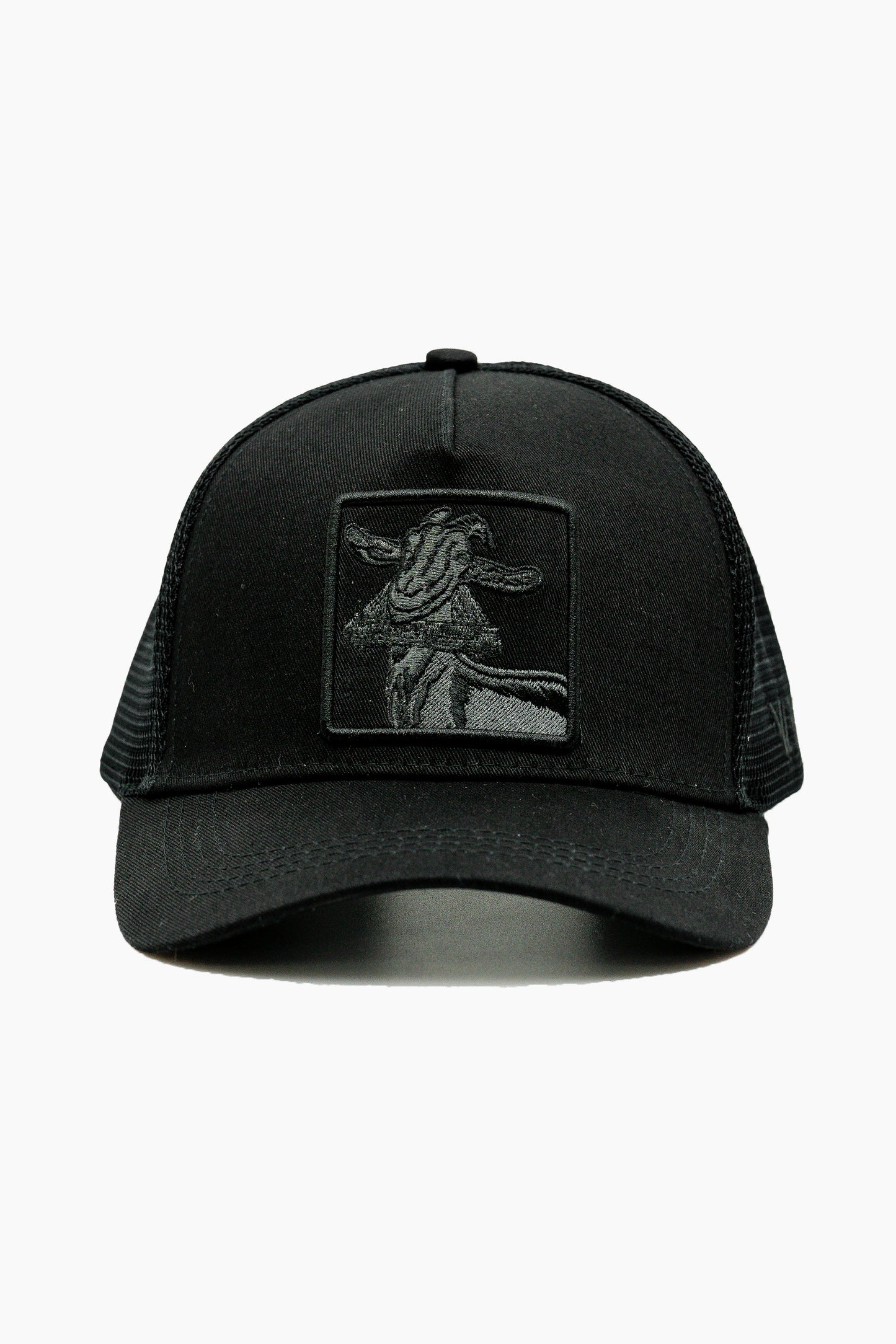 Kabritu Midnight Trucker